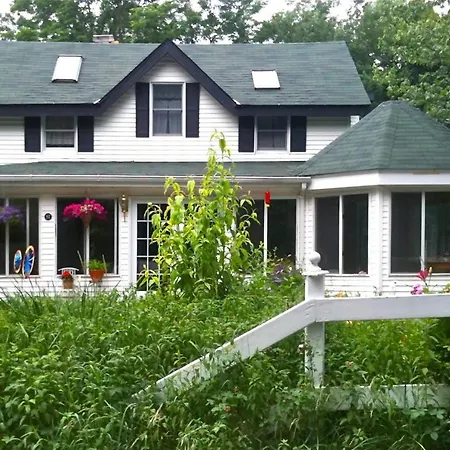 Play All Day - Sleep By The Stream At Night - Swimming Hole Palenville Exterior photo